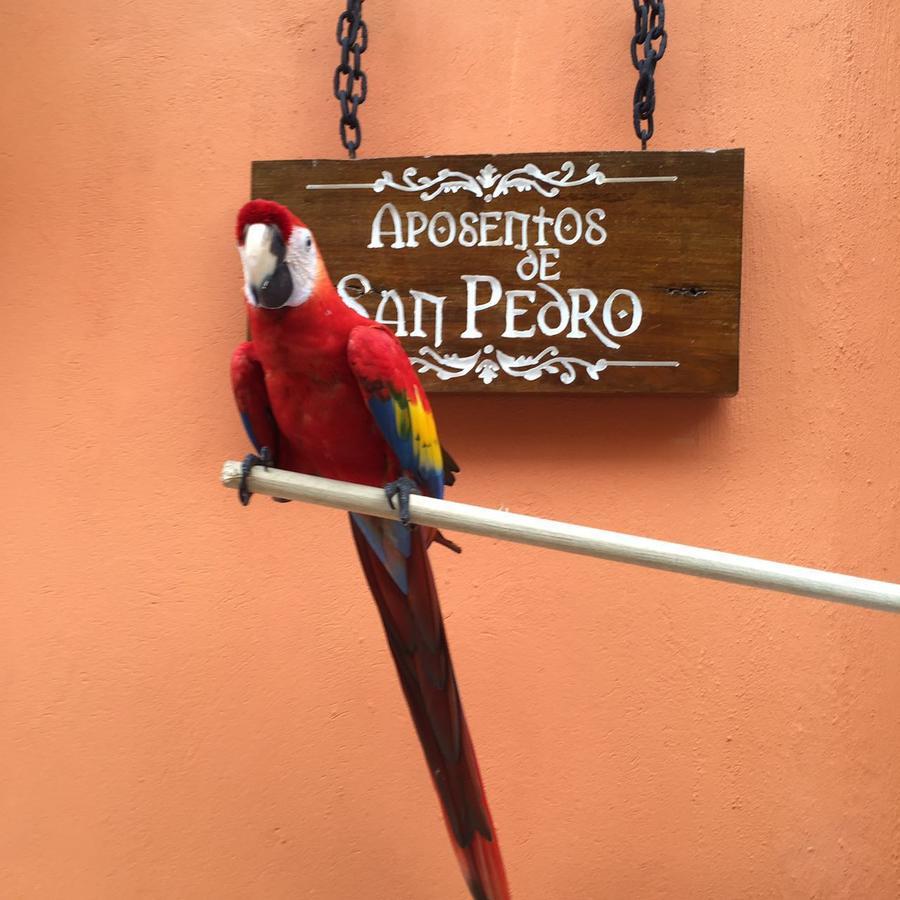 Отель Aposentos De San Pedro Картахена Экстерьер фото